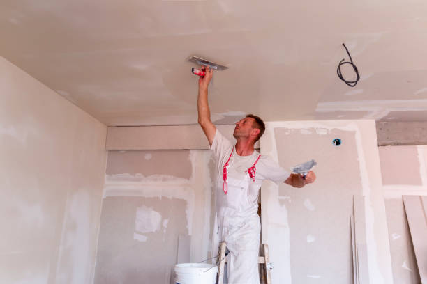 Best Drywall Removal and Disposal  in Cross Plains, TN